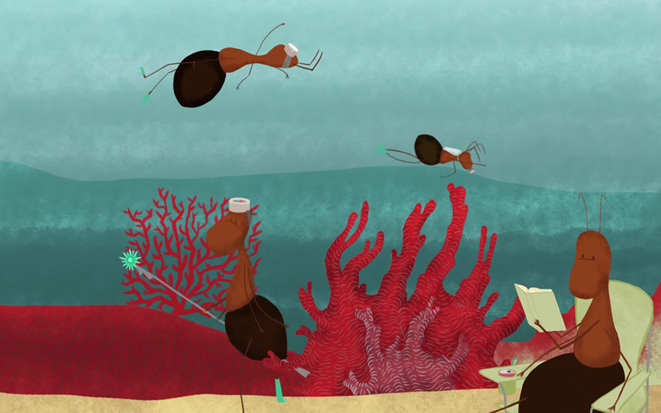 Sept_Ants-Under-Water_900x6002