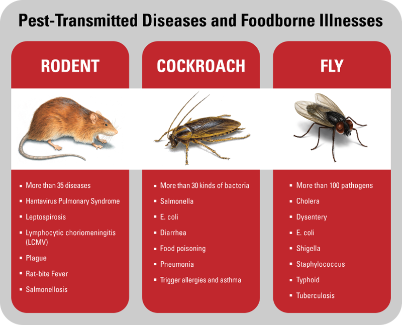 Don’t Let Your Bottom Line Get Burnt by Pest-Transmitted Diseases and